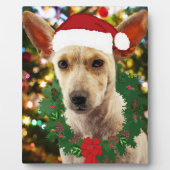 Plaque Photo Joie au chiot (Devant)