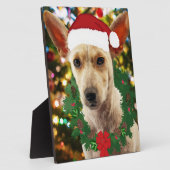 Plaque Photo Joie au chiot (Côté)