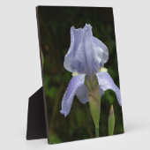 Plaque Photo Joli bleu Iris Floral Raindrops EASEL (Côté)