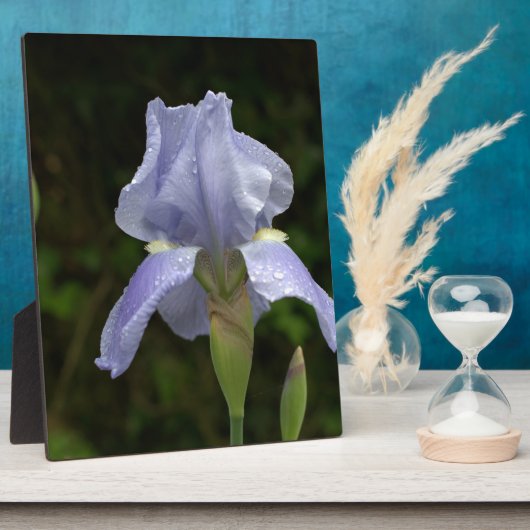 Plaque Photo Joli bleu Iris Floral Raindrops EASEL (Côté)