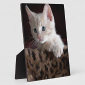 Plaque Photo Joli Kitty look (Côté)