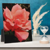 Plaque Photo Joli rose rose Peach floral (Côté)