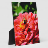 Plaque Photo Jolie fleur rouge et abeille de miel (Côté)