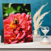 Plaque Photo Jolie fleur rouge et abeille de miel (Côté)