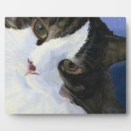 Plaque Photo Jolie Kitty (Devant)