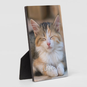 Plaque Photo Jolie photo verticale de chat au nom cursif