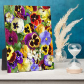 Plaque Photo Jolies Pansies (Côté)