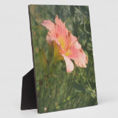 Plaque Photo Jour dans le soleil (Côté)