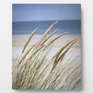 Plaque Photo Journée farniente à la plage