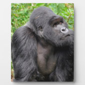 Plaque Photo Joyeux singe (Devant)