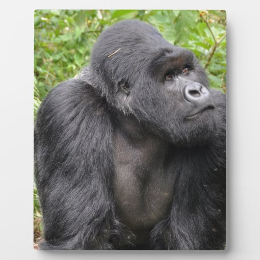 Plaque Photo Joyeux singe (Devant)