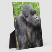 Plaque Photo Joyeux singe (Côté)