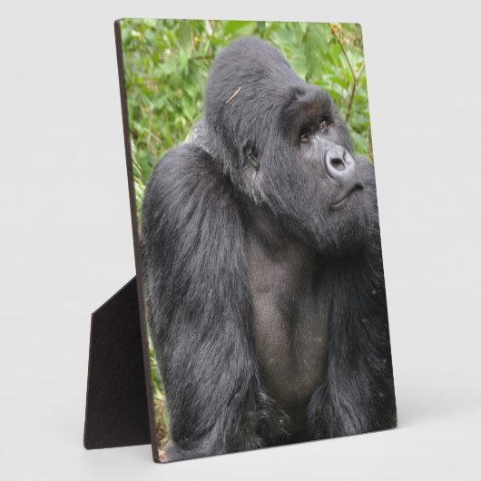 Plaque Photo Joyeux singe (Côté)