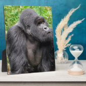 Plaque Photo Joyeux singe (Côté)