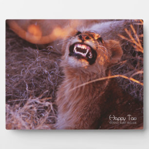 Plaque Photo Joyeux Tau