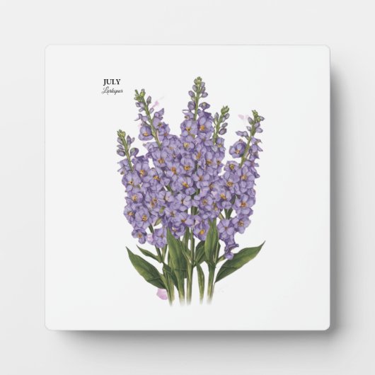 Plaque Photo Juillet Larkspur Bloom - Cadeau d'anniversaire per (Devant)