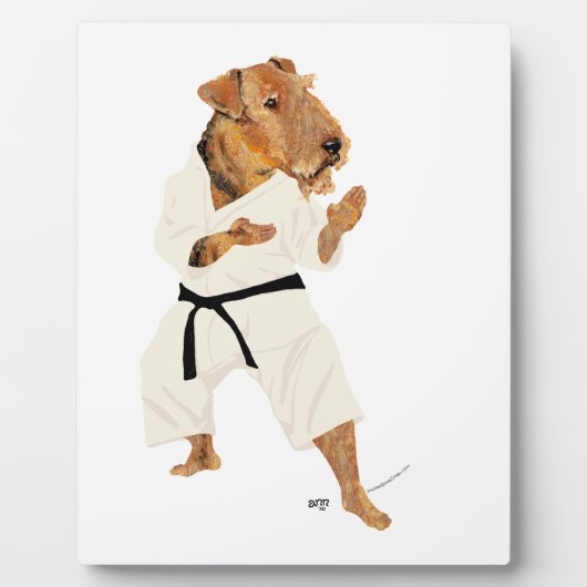 Plaque Photo Karate Terrier (Devant)