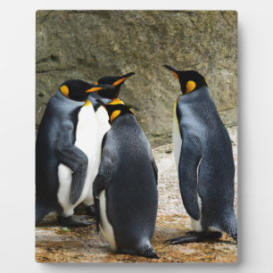 Plaque Photo King Penguin