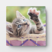 Plaque Photo Kitten Dans Un Panier (Devant)