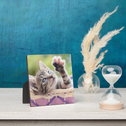 Plaque Photo Kitten Dans Un Panier (Insitu)