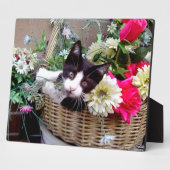 Plaque Photo Kitten in a Basket (Côté)