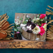 Plaque Photo Kitten in a Basket (Côté)