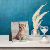 Plaque Photo Kitten Tiny Ginger (Insitu)