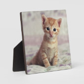 Plaque Photo Kitten Tiny Ginger (Recto)