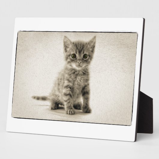 Plaque Photo Kitty tigré (Côté)