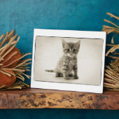 Plaque Photo Kitty tigré (Côté)