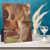 Plaque Photo Koala Bear Love (Côté)