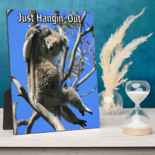 Plaque Photo Koala Hanging Out en Australie