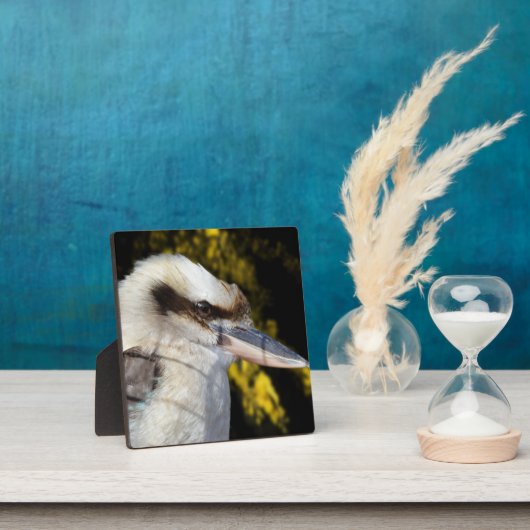 Plaque Photo Kookaburra, aile bleue australienne, (Insitu)