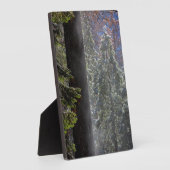 Plaque Photo La brume neigeuse dans la forêt (Côté)