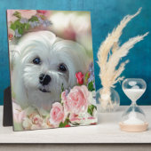 Plaque Photo La chute de neige maltaise (Côté)