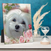 Plaque Photo La chute de neige maltaise (Côté)