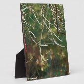 Plaque Photo La lanterne (Côté)