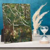 Plaque Photo La lanterne (Côté)