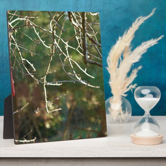 Plaque Photo La lanterne (Côté)