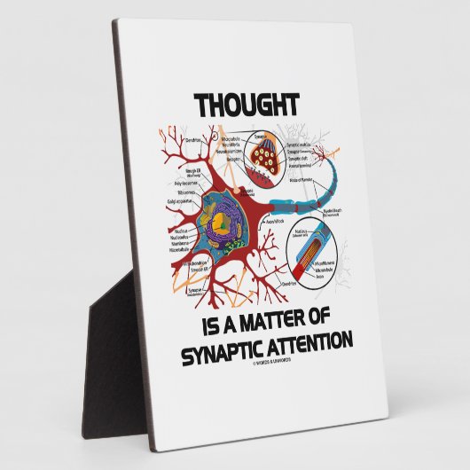 Plaque Photo La Pensée Est Une Question D'Attention Synaptique  (Côté)