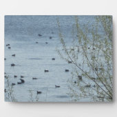 Plaque Photo La plaine des oiseaux du lac (Devant)