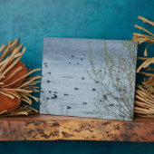 Plaque Photo La plaine des oiseaux du lac (Côté)