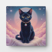 Plaque Photo La Reine Du Ciel De Chat Noir (Devant)