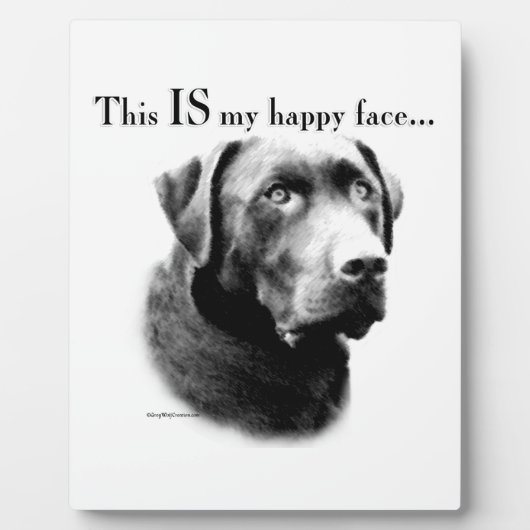 Plaque Photo Lab Happy Face (Devant)