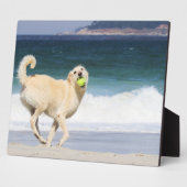 Plaque Photo Labradoodle - Joyeuse journée sur la plage (Côté)