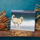 Plaque Photo Labradoodle - Joyeuse journée sur la plage (Côté)