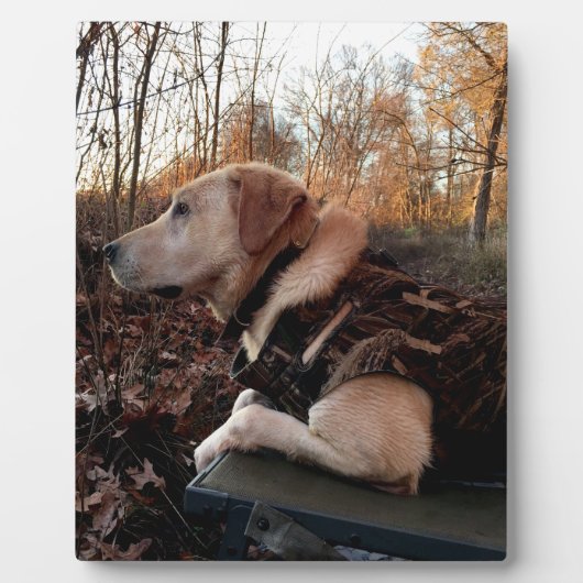 Plaque Photo Labrador Retriever Duck Missile sur le lanceur (Devant)