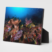 Plaque Photo Laja Ampat sous-marin (Côté)