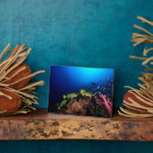 Plaque Photo Laja Ampat Underwater 3 (Côté)