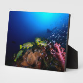 Plaque Photo Laja Ampat Underwater 3 (Côté)